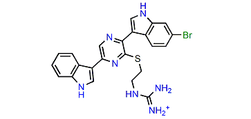 Dragmacidin H